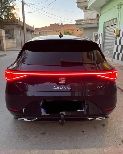 Leon Fr