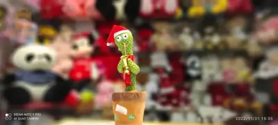 Cactus qui parle