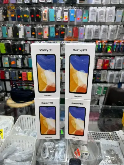 Galaxy F13