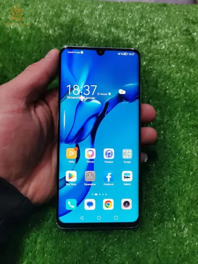 P30 PRO