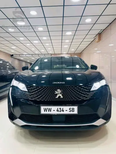 PEUGEOT        3008