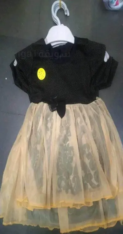 روب برينساس