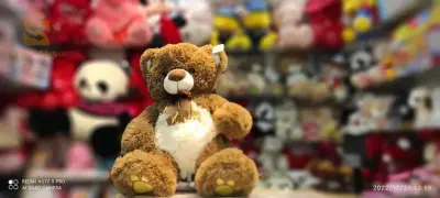 ours en peluche