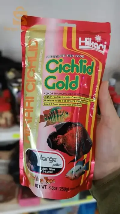 قشريات الذهب