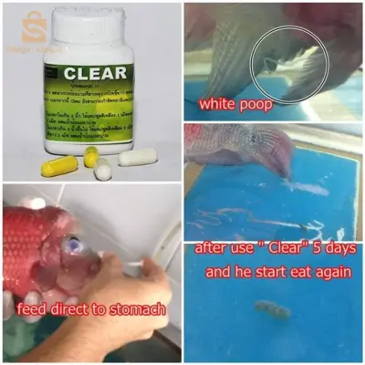أدوية الاسماك