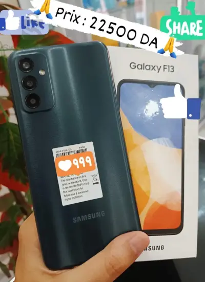 Galaxy F13