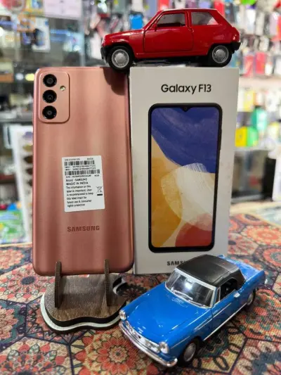 SAMSUNG F13