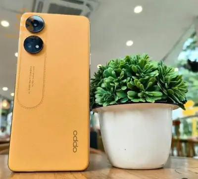 oppo reno 8t