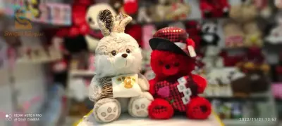 ours en peluche