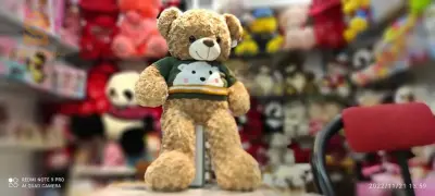 ours en peluche