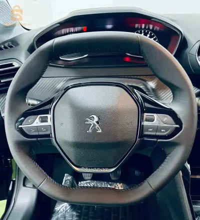 PEUGEOT_208