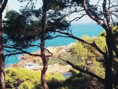 tourisme et voyage
