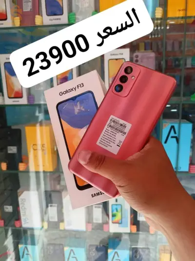 Samsung F13
