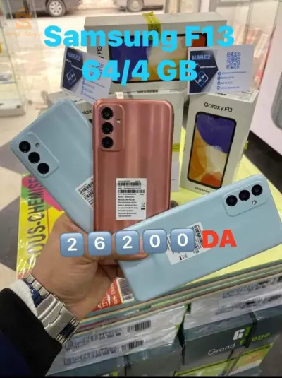 SAMSUNG F13