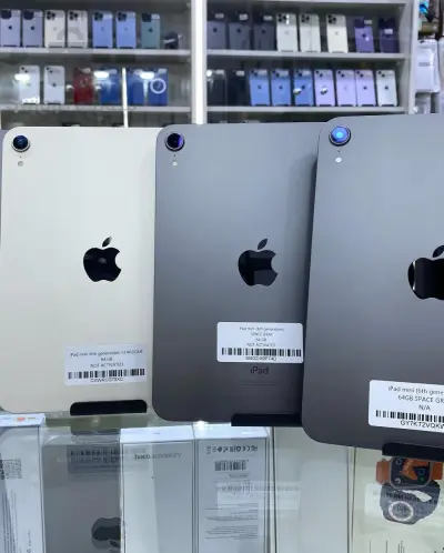 iPad mini 6