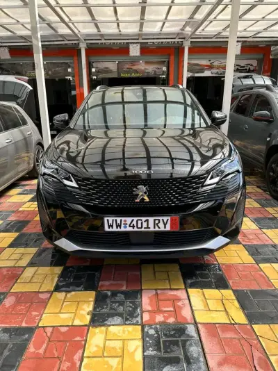 3008Gt