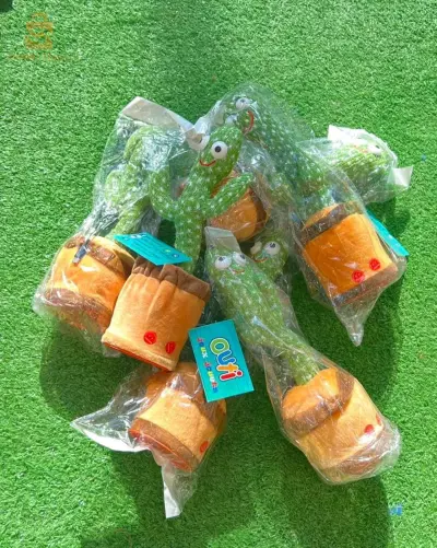 الصبار الراقص