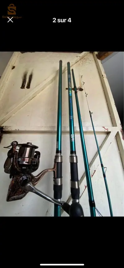 Canne dap fishing 🎣 4.20m + moulinet debaoo rs9000