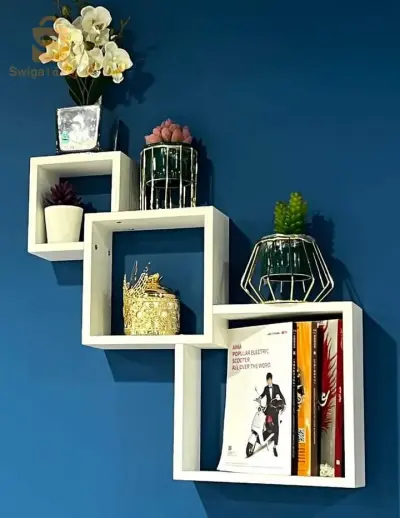 shelf cabinet