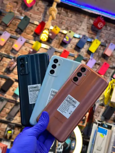 SAMSUNG  F13