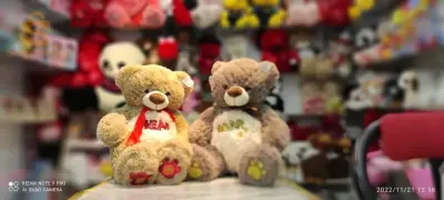 ours en peluche