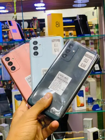 Samsung F13