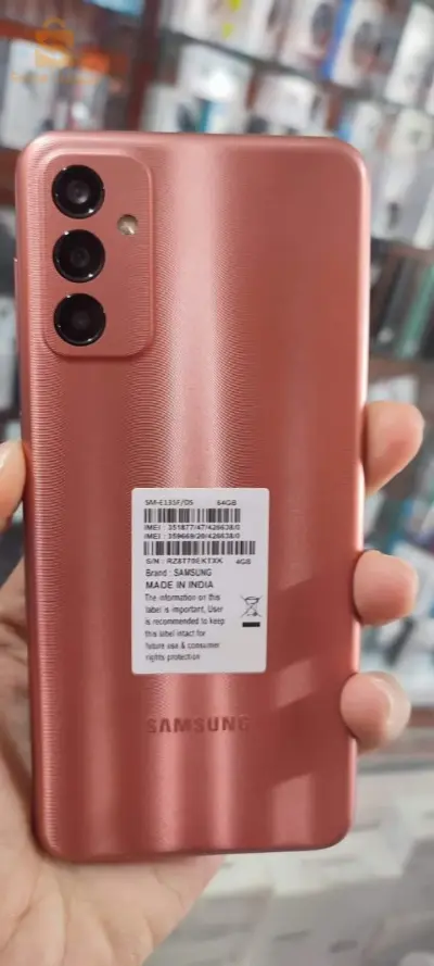Samsung Galaxy F13