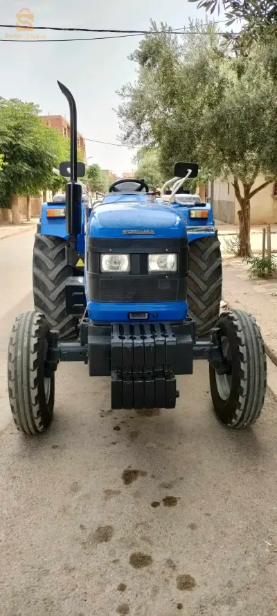 تيارت