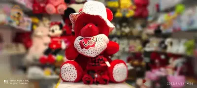 ours en peluche