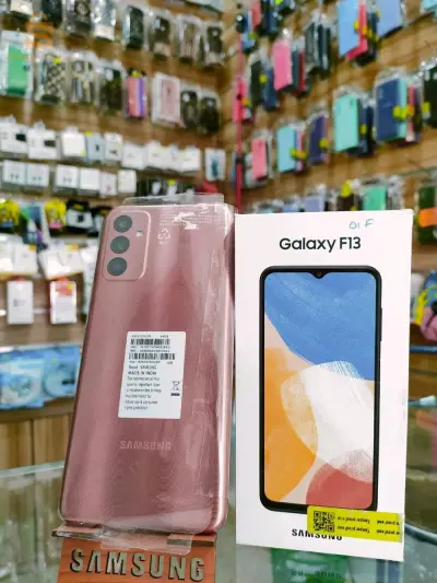 Samsung F13