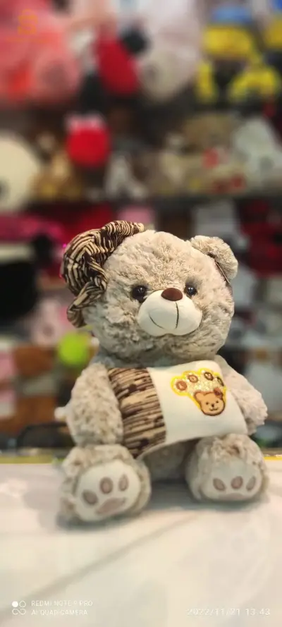 ours en peluche