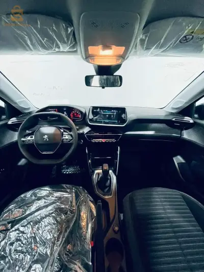 PEUGEOT_208