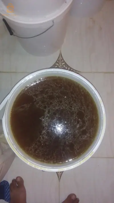 عسل جبلي ديطاي
