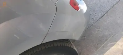 رغاية الجزائر