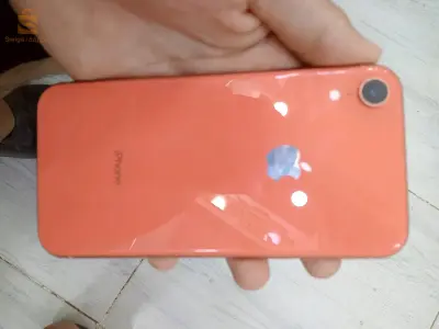 xr Novo Jamais ouvert auparavant, tout est original
