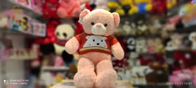 ours en peluche