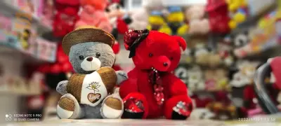 ours en peluche