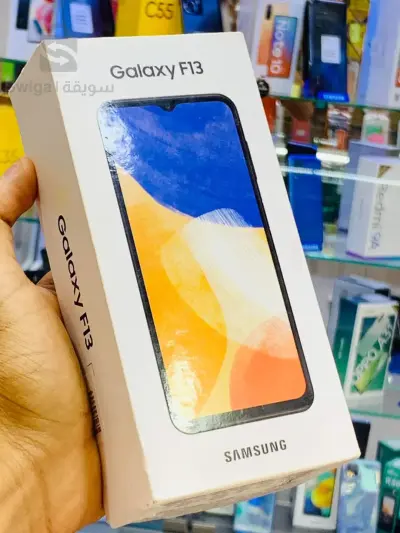 Samsung F13