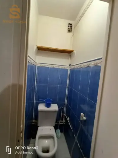 شقة للكراء