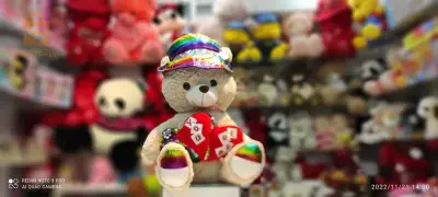 ours en peluche