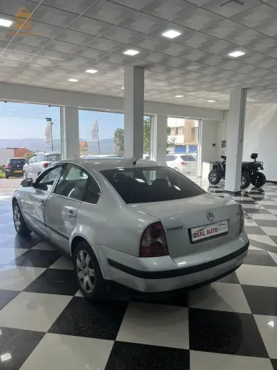 Volkswagen passt 2005