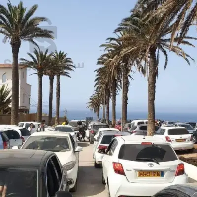 رحلة إلى الجزائر العاصمه