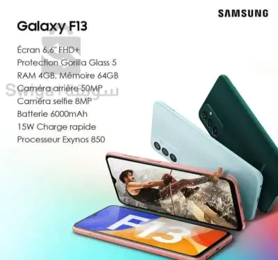 Samsung F13