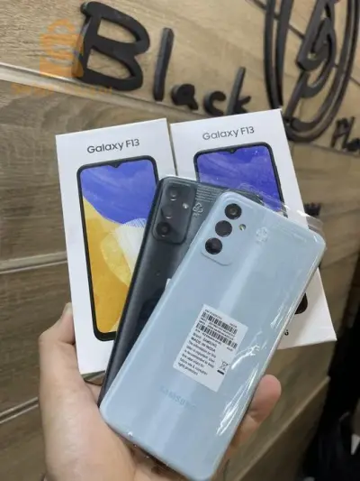 Samsung F13