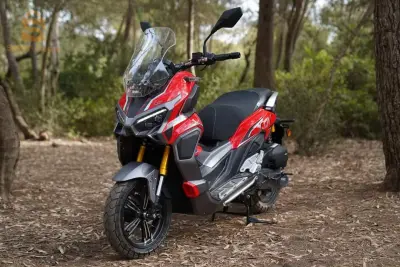 Vms Xdv
