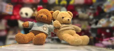 ours en peluche