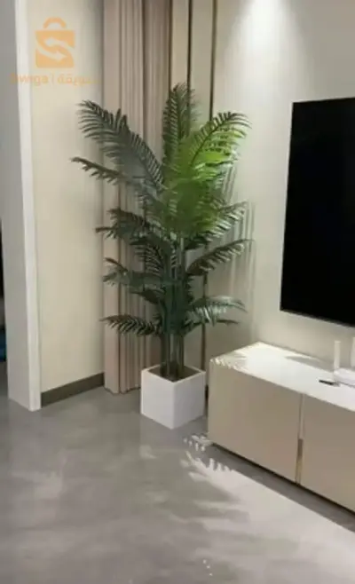 اشجار الزينة