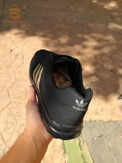 عين النعجة