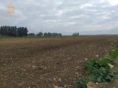 قطعة ارض  زراعية للبيع