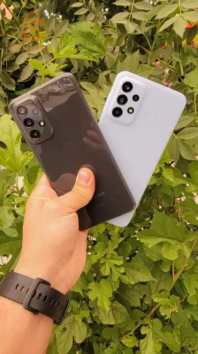 A23